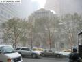 Park Avenue, NYC, first snowstorm 5 Dec. 2003