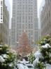 Rockefeller Center, NYC 6 Dec. 2003